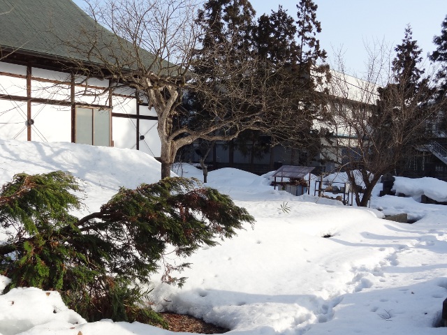 DSC01367.JPG