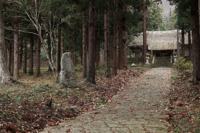 DSCF0945.JPG